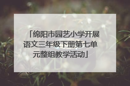 绵阳市园艺小学开展语文三年级下册第七单元整组教学活动